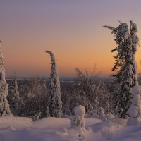 Зимний сон :: Галина Новинская