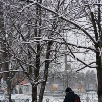 К нам заглянула Зима... :: Николай Саржанов