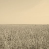 Название отсутствует :: Денис Безногов