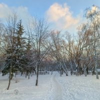 Утро в зимнем парке :: Игорь Сарапулов