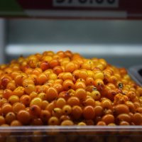 облепиха :: Александр Кольцов