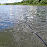 Поймать судака :: Валерий Судачок Поймать судака :: Валерий Судачок