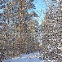 Лесная дорожка :: Татьяна Тюменка