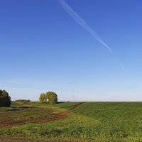 На опушке :: Сергей Швечков