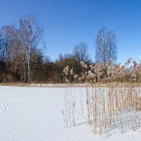 Февраль на Смоленщине (репортаж из поездок по области). :: Милешкин Владимир Алексеевич 