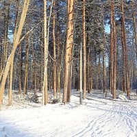 В парке :: Татьяна Тюменка