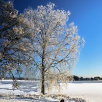Перед посиделками :: Alexandеr P