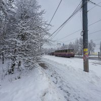 Зимняя улица около дороги :: Александр Синдерёв