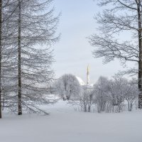 Про Питер :: Владимир Колесников