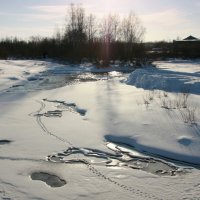 Февральский пейзаж :: Нэля Лысенко