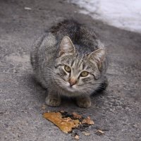 ... :: Александр Кольцов ... :: Александр Кольцов