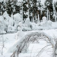 Кудесница зима :: Любовь Сахарова