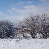 Побережье Калининградского залива :: Рита Симонова