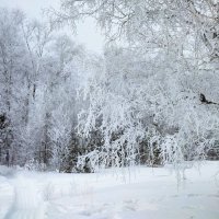 Кружева февраля :: Валентина Богатко 