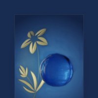 ЭТЮД... :: Elvira E. 