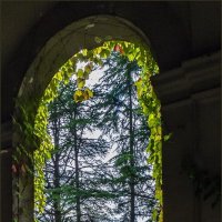 Торжество природы :: Наталья Rosenwasser