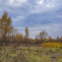 В поле... :: Владимир Жданов