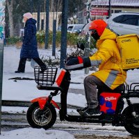 Доставка в любую погоду... :: Николай Саржанов