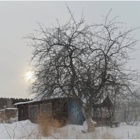 Сад :: Алексей Хвастунов