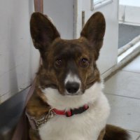 ... :: Александр Кольцов