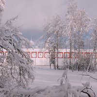 Зимним днëм в парке у стен монастыря :: Сергей Кочнев