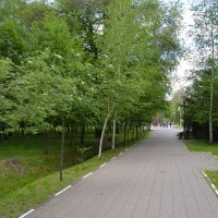 ,,, :: Сергей Тимоновский