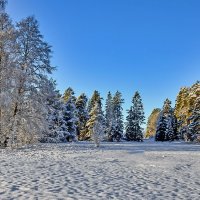 Неужели жизнь - это праздник? :: Alexandеr P