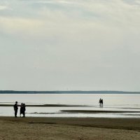 отлив :: Ирина Картина