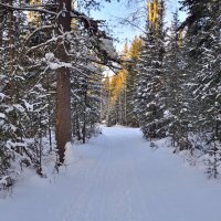 - :: Владимир Мигонькин