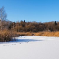 Зима ещё продолжается (репортаж из поездок по области). :: Милешкин Владимир Алексеевич 