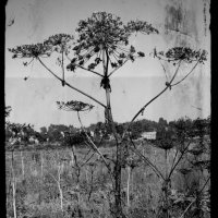 Название отсутствует :: Денис Безногов