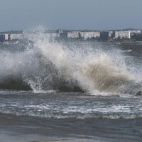 Моменты осеннего шторма. :: Анатолий Щербак