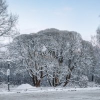 Зима :: Владимир Колесников