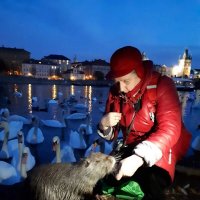 Знакомство :: Надежда 