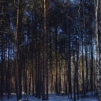 №64 :: Alex Bes №64 :: Alex Bes