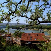 БЕЛГРАД :: Татьяна Касьяненко