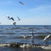 море :: марта Камушкина