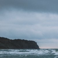 Берег Балтийского моря :: Tanya Nikorovskaya