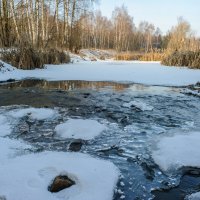 Первый день весны. :: Николай 