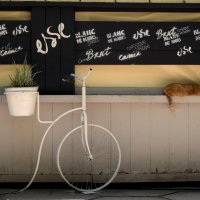 талисман :: Всеволод талисман :: Всеволод