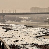 Кормили уток , и рыбака в придачу,,,) :: Анатолий Колосов