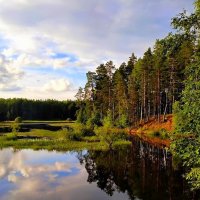 ВЕЧЕР :: Татьяна Касьяненко