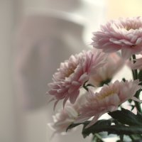 Утренний сон :: Магомед .