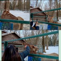 В ростовском зоопарке :: Нина Бутко