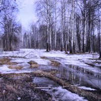 А снег тает :: Людмила Смородинская