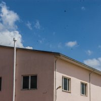 Прелестный розовый склад снятый с закрытой диафрагмой на заляпанную матрицу :: Коля Лукашов