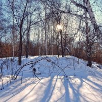 Весенний привет новому дню! :: Елена Хайдукова  ( Elena Fly )