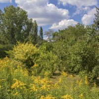 Лето в ботаническом саду Н В Багрова :: Валентин Семчишин Лето в ботаническом саду Н В Багрова :: Валентин Семчишин