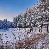 ХОРОША ЗИМА. (Но пришла весна красна). :: Виталий Половинко