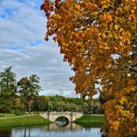 Гатчина. Дворцовый парк. :: Юлия Голикова